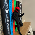 Reading Biker Hottie, Lights Out Bookshelf Decor, Into the Darkness Lover Gift, Game On Dark Romance Decoration, Smut Gifts, Caught Up __etsy:8128110273
