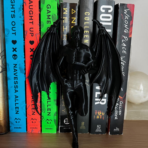 Reading Cassian, Rhysand, Azriel ACOTAR Highlord, Bookshelf Decor, Book Lover Gift, Dark Romance Decoration, Smut Gifts, Suriel, Rhysand __etsy:8080332176