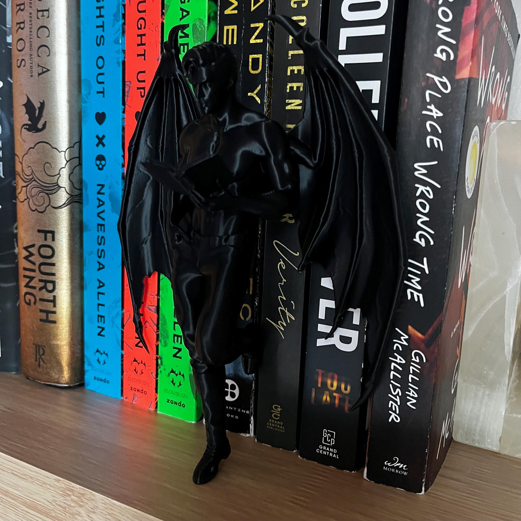 Reading Cassian, Rhysand, Azriel ACOTAR Highlord, Bookshelf Decor, Book Lover Gift, Dark Romance Decoration, Smut Gifts, Suriel, Rhysand __etsy:8128250447
