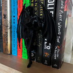 Reading Cassian, Rhysand, Azriel ACOTAR Highlord, Bookshelf Decor, Book Lover Gift, Dark Romance Decoration, Smut Gifts, Suriel, Rhysand __etsy:8128250447