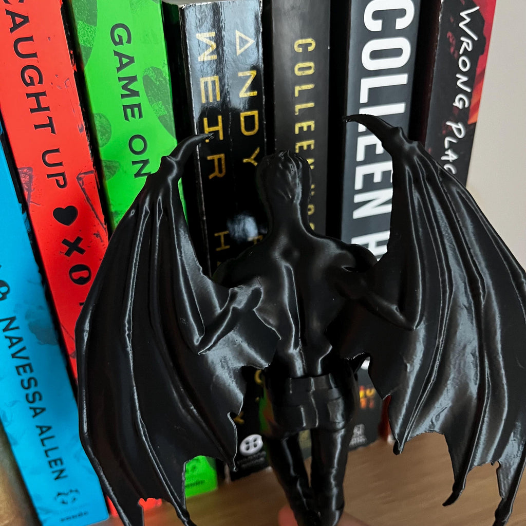 Reading Cassian, Rhysand, Azriel ACOTAR Highlord, Bookshelf Decor, Book Lover Gift, Dark Romance Decoration, Smut Gifts, Suriel, Rhysand __etsy:8128250439