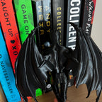 Reading Cassian, Rhysand, Azriel ACOTAR Highlord, Bookshelf Decor, Book Lover Gift, Dark Romance Decoration, Smut Gifts, Suriel, Rhysand __etsy:8128250439