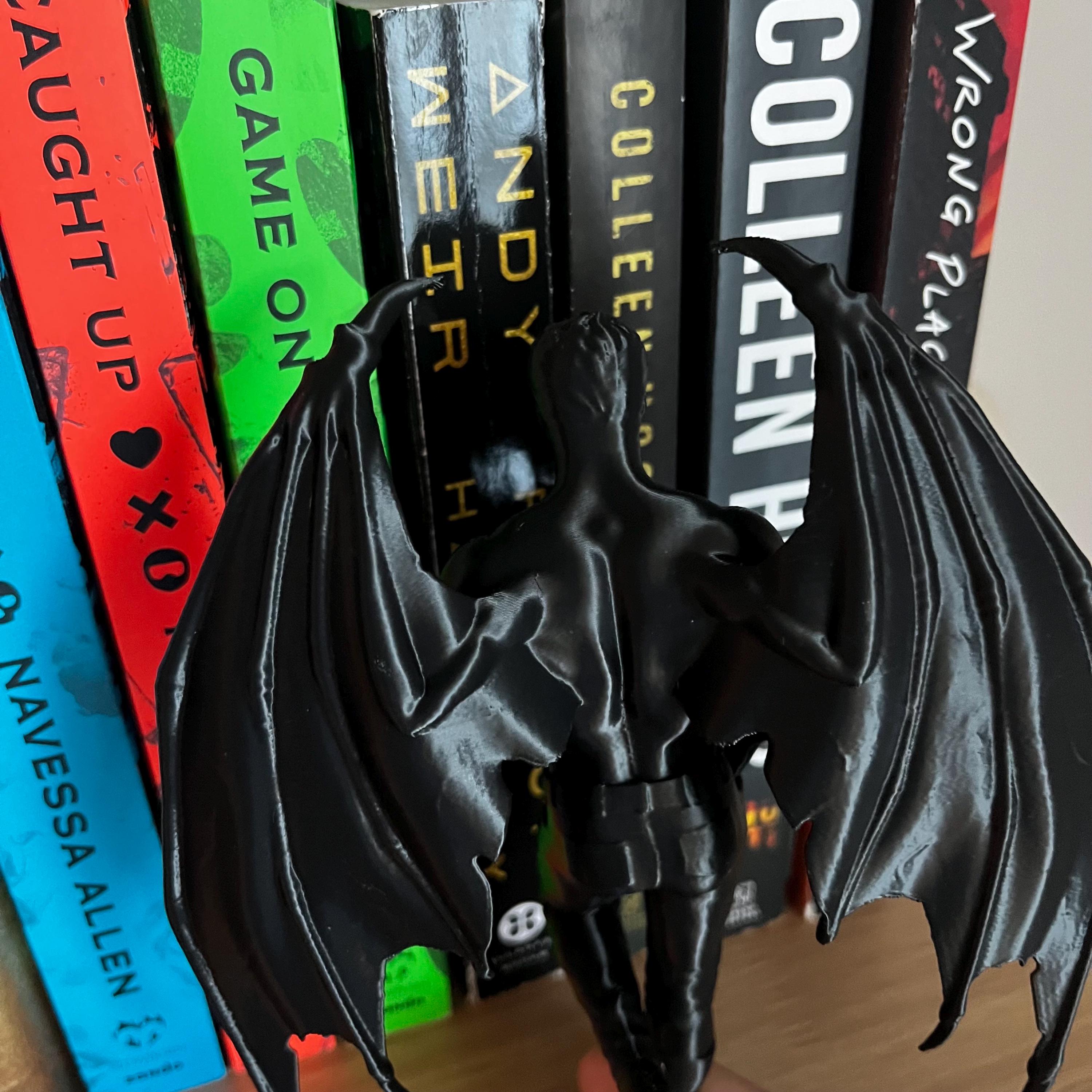 Reading Cassian, Rhysand, Azriel ACOTAR Highlord, Bookshelf Decor, Book Lover Gift, Dark Romance Decoration, Smut Gifts, Suriel, Rhysand __etsy:8128250439