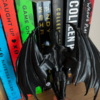 Reading Cassian, Rhysand, Azriel ACOTAR Highlord, Bookshelf Decor, Book Lover Gift, Dark Romance Decoration, Smut Gifts, Suriel, Rhysand __etsy:8128250431