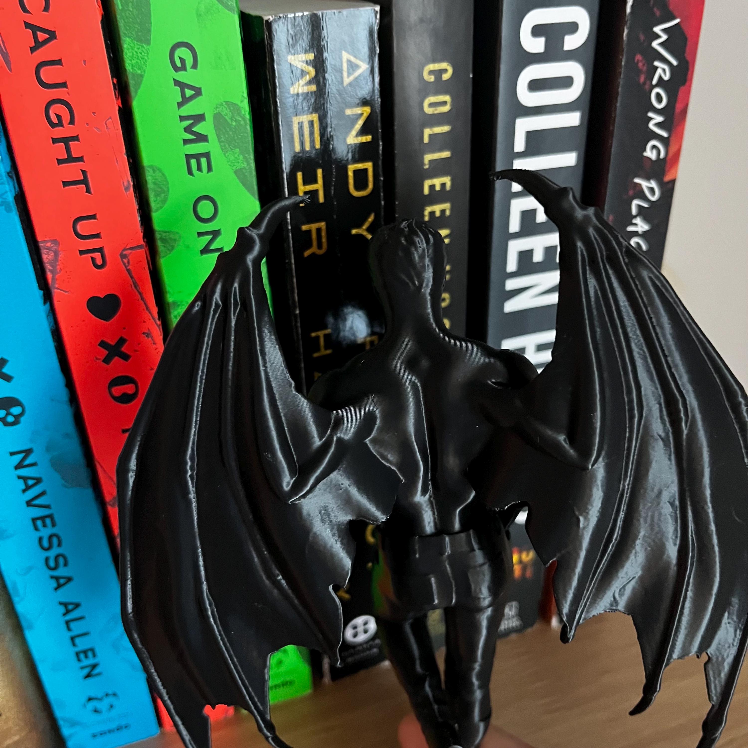 Reading Cassian, Rhysand, Azriel ACOTAR Highlord, Bookshelf Decor, Book Lover Gift, Dark Romance Decoration, Smut Gifts, Suriel, Rhysand __etsy:8128250431