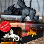 Sleeping Bookshelf Dragon | Fourth Wing Empyrean Series | Bookish Decor for Bookies