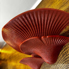 marble red mushroom shelf