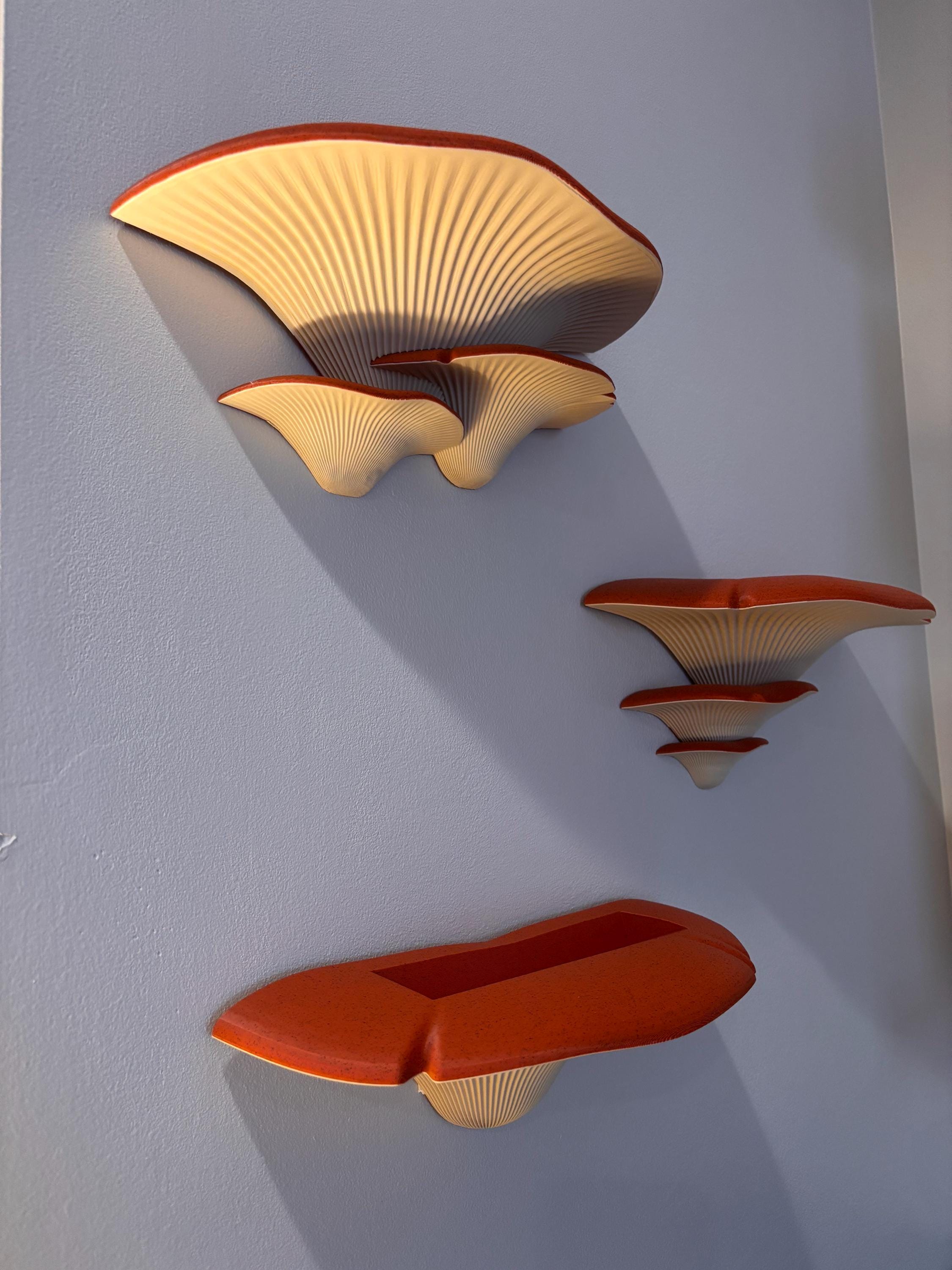 XXXL Mushroom Floating Shelf | You Choose Colors | Shelves for Fantasy Room Wall Decor and Storage / Organization __etsy:7987785174