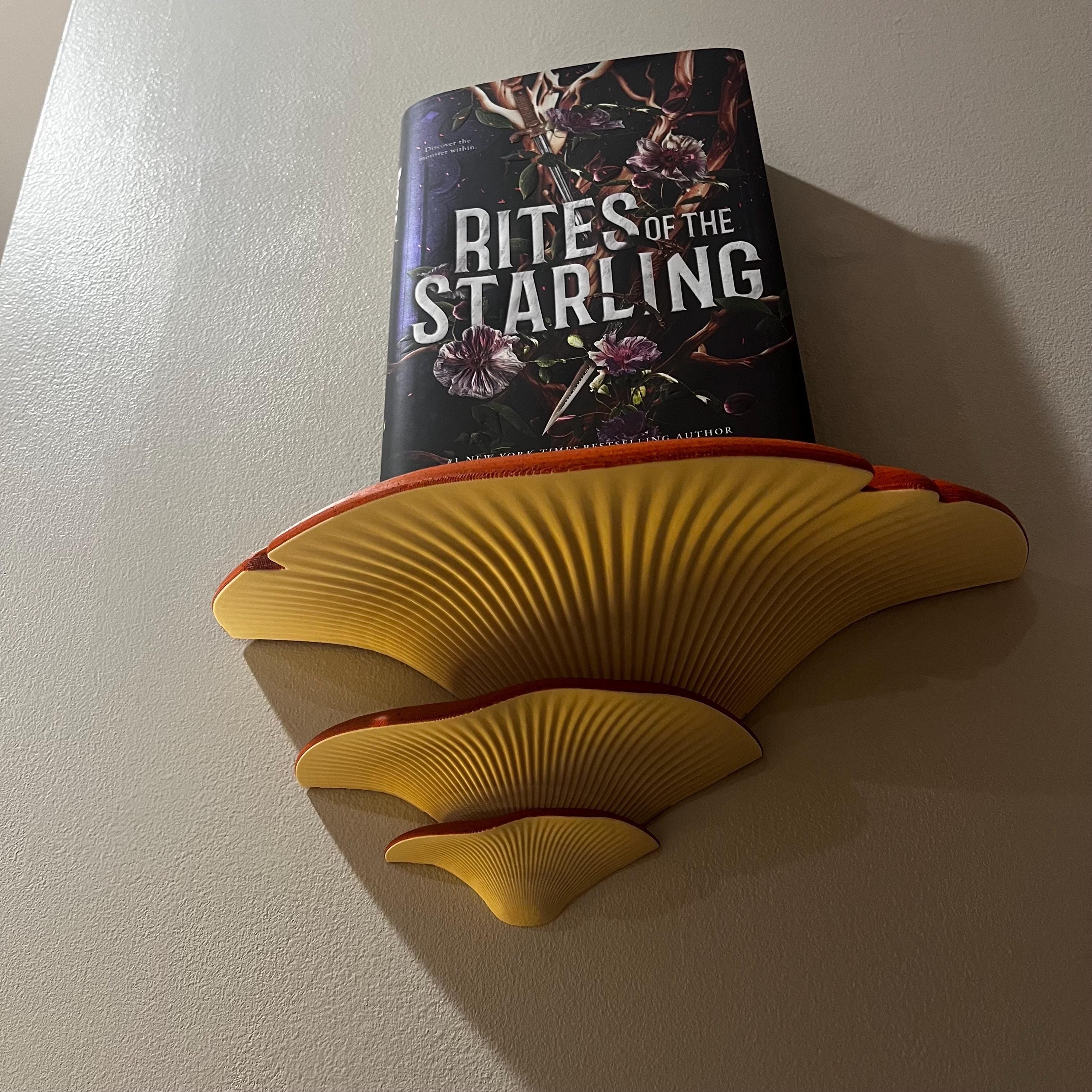 XXXL Mushroom Floating Shelf | You Choose Colors | Shelves for Fantasy Room Wall Decor and Storage / Organization __etsy:8037542031