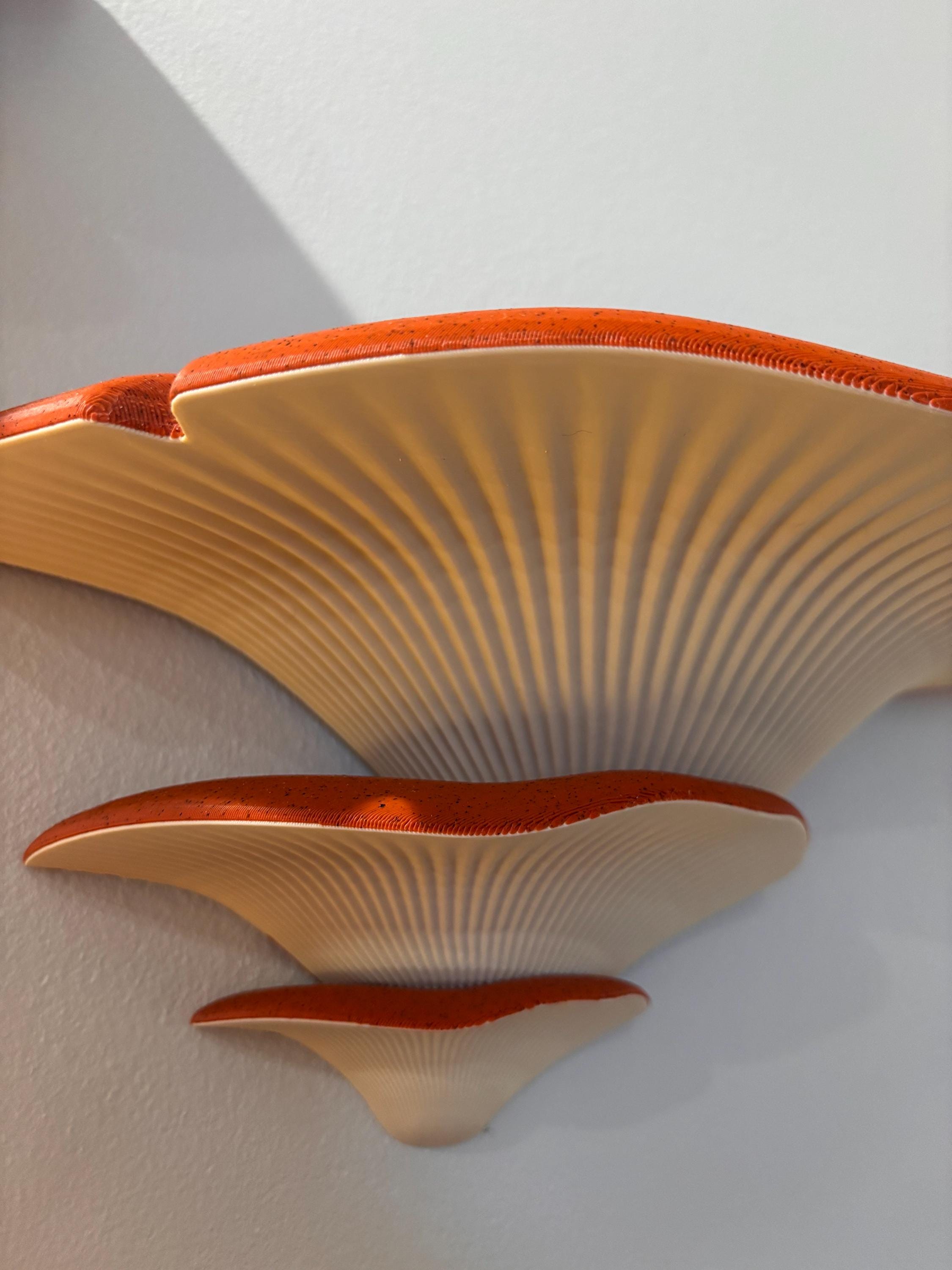 XXXL Mushroom Floating Shelf | You Choose Colors | Shelves for Fantasy Room Wall Decor and Storage / Organization __etsy:8035725313
