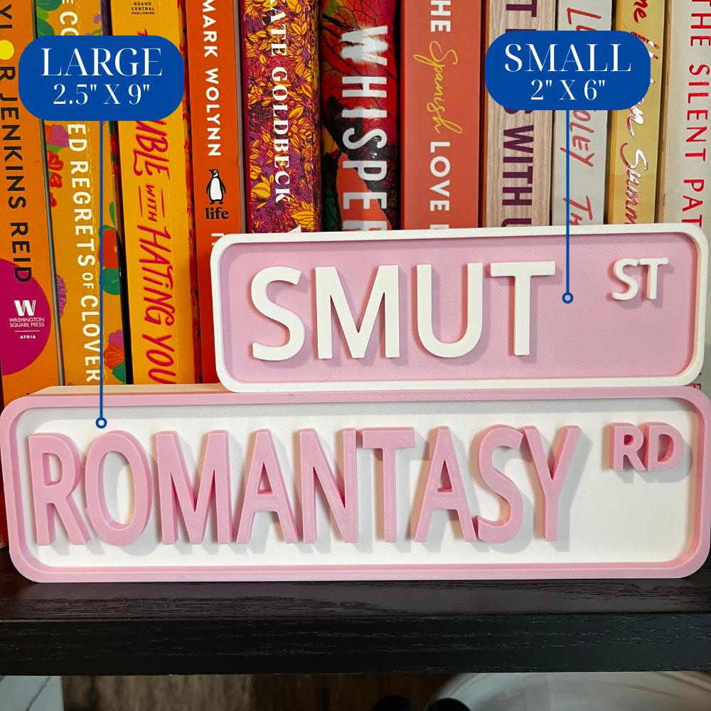 Size comparison of a large 2.5 x 9 in ROMANTASY RD sign and a small 2 x 6 in SMUT ST sign in pink and white