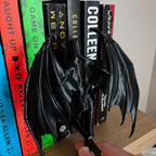 Reading Cassian, Rhysand, Azriel ACOTAR Highlord, Bookshelf Decor, Book Lover Gift, Dark Romance Decoration, Smut Gifts, Suriel, Rhysand __etsy:8080332162