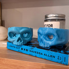 Lights Out Skull Bookshelf Decor, Into the Darkness Lover Gift, Game On Dark Romance Decoration, Smut Gifts, Caught Up