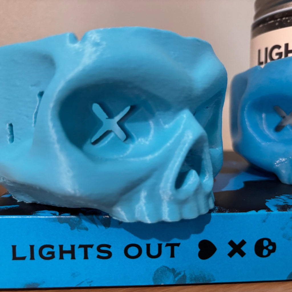 Lights Out Skull Bookshelf Decor, Into the Darkness Lover Gift, Game On Dark Romance Decoration, Smut Gifts, Caught Up