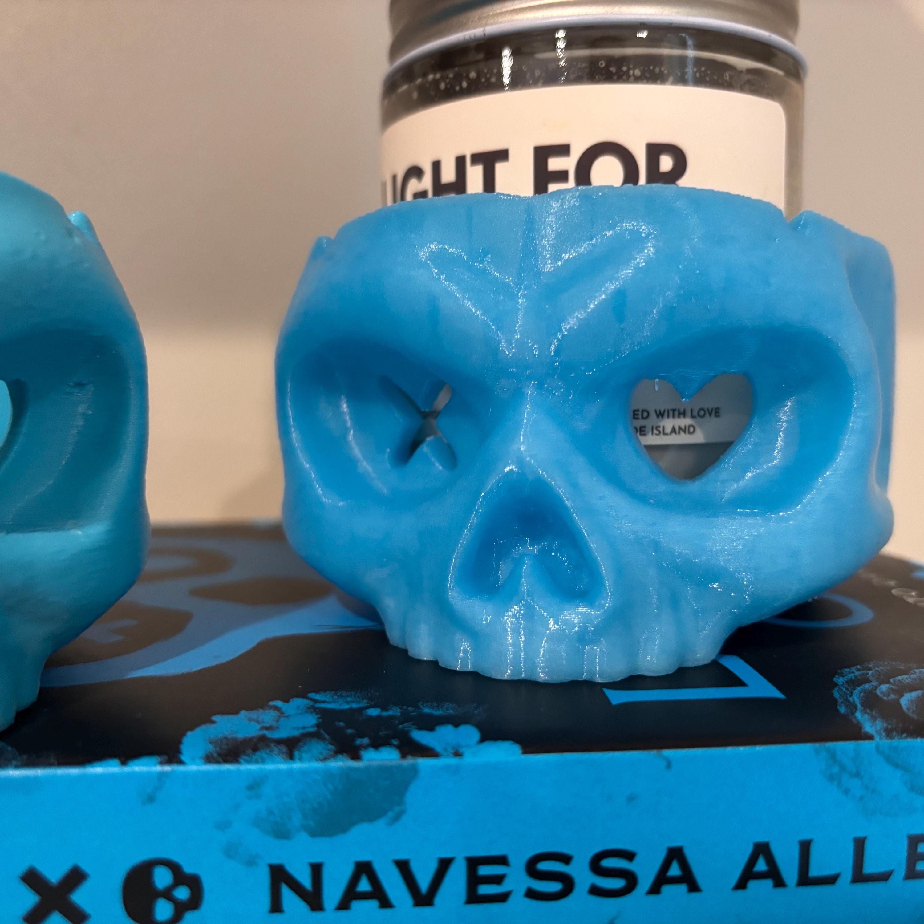 Lights Out Skull Bookshelf Decor, Into the Darkness Lover Gift, Game On Dark Romance Decoration, Smut Gifts, Caught Up