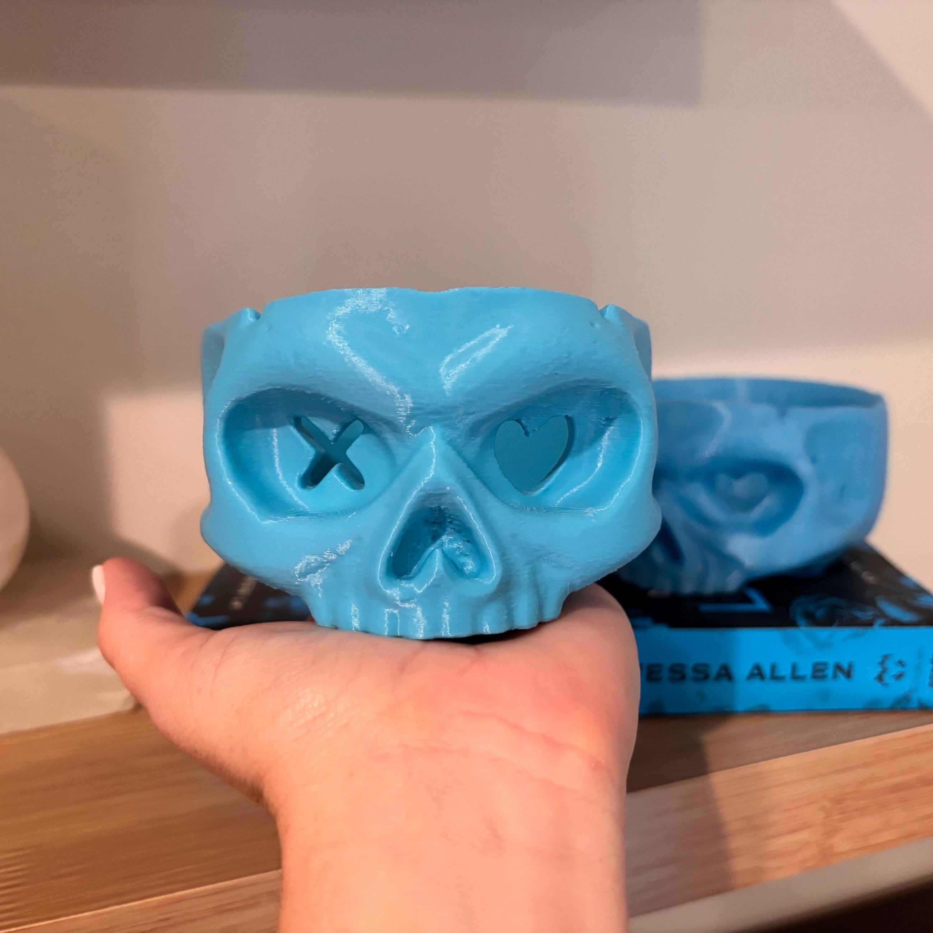 Lights Out Skull Bookshelf Decor, Into the Darkness Lover Gift, Game On Dark Romance Decoration, Smut Gifts, Caught Up