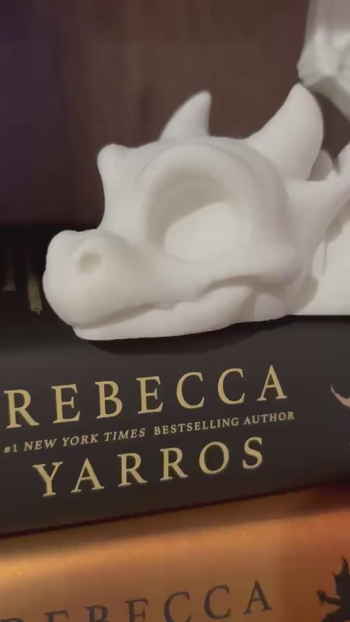 Bookshelf Skeleton Dragon