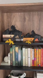 Sleeping Bookshelf Dragon | Fourth Wing Empyrean Series